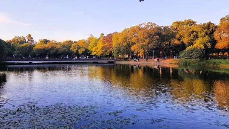 Seoul Forest Park