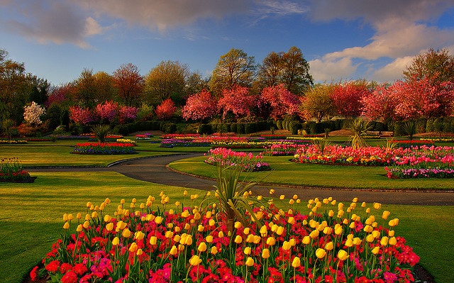 Spring in Glasgow